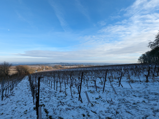 Rund um die Madenburg,
21. Januar 2024